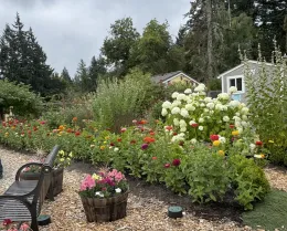 Photo of Sammamish Historical Garden.