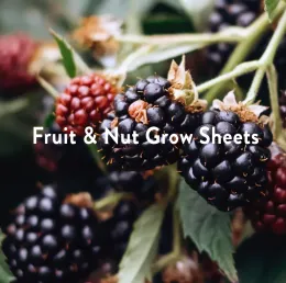 berry harvest for fruit and nut grow sheet