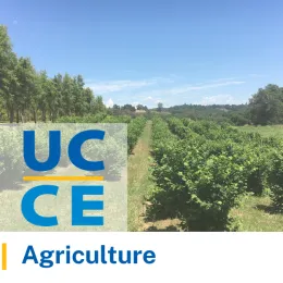 Central Sierra Agriculture thumbnail of agriculture field.