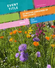 Event promotion graphic with wildflowers