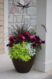 Mixed flowers in a pot