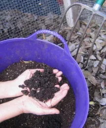 Improving Your Soil