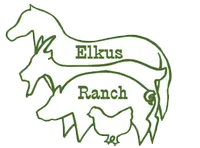 Elkus Icon