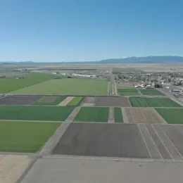 Distant view of agricultural fields at Intermountain Research and Extension Center.