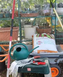 Gardening Tools, Lynn Hanson