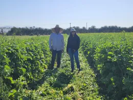 Ana and farmer stand in green field