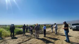 Group of people standing looking at green field