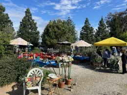 4.11.26 Garden Day Madera MG 