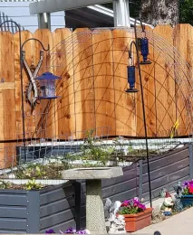 Hummingbird feeders hanging on hooks