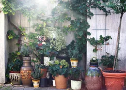 Winterizing_Patio_350by250_card