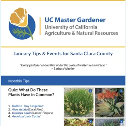 Screen capture of Tips & Events newsletter