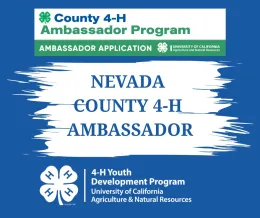 Graphic with County Ambassador logo