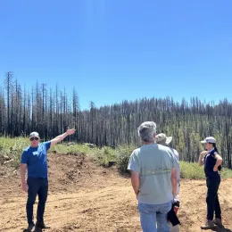 A group of people stand and assess the severity of a post-fire landscape.