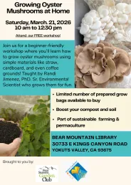 Growing Oyster Mushrooms at home