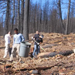 People work to clean up a post-fire landscape in preparation for planting.