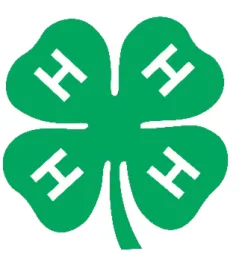 4H Clover Logo Green