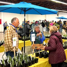 spring garden market