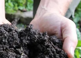 Finished Compost Ucanr.edu