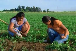 Two women crouch in an agricultural field