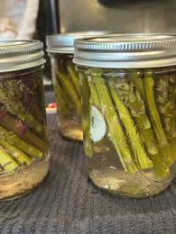 processed jar of asparagus, with about one inch of brine at the bottom of the jar