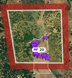 screenshot of virtual fencing app indicates location of steers in the site demonstration within designated boundaries