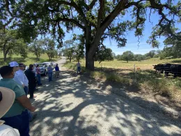 a group of people stand in a semicircle looking at a rancher and her collared cattle