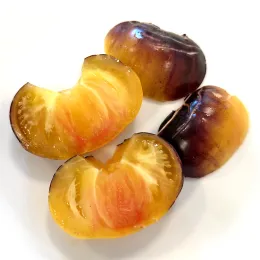 Two large tomatoes cut in half showing dark purple and gold exterior with golden yellow and red blushed interior