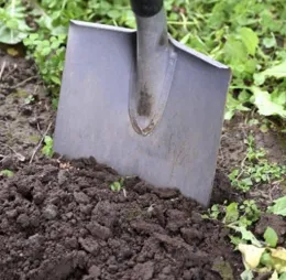 Shovel digging in the soil 