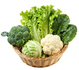 A basket filled with fresh vegetables, including broccoli, cabbage, cauliflower, lettuce, and spinach, all arranged on a white background