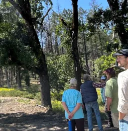 a group of people stands on a fire road in a wild area