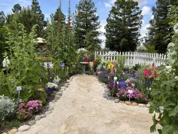 Sandy garden path with beautiful landscaped garden with colorful flower blooms.