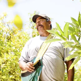 Man smiling in an avocado orchard at Southcoast REC