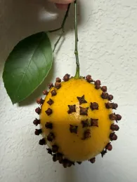 lemon pomador