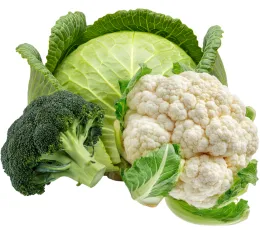 The image shows three types of vegetables: a head of green cabbage in the background, a cluster of broccoli on the left, and a head of cauliflower on the right.