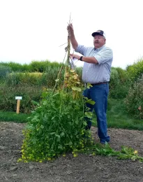 Man holding cover crop