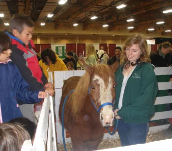 Morning Sun - Farm Day