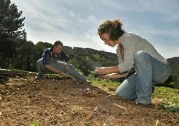 Will Scott and Sofi Setrackian