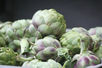 artichokes