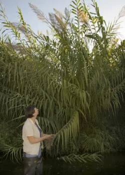 arundo-Web-Version-small