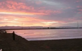 California strawberry fields