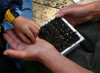 secret garden kids_hands (Medium)