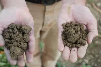 Conservation tillage soil on right and standard tillage soil on left.