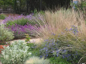 Gardening CVS page photo