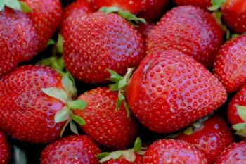 freshlypickedstrawberries