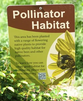 Pollinator Habitat