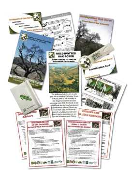 Photo of some GSOB resources