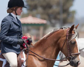 Girl on Horse Profile View