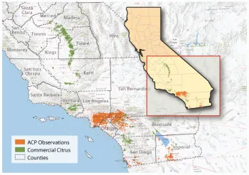 “If there is an ACP or HLB find, we can use the database to assess the risk of spread into urban areas and commercial citrus.” —Kris Lynn-Patterson, GIS coordinator leading the project