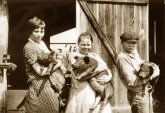 4-H clubs began as agricultural clubs, but have since embraced engineering, woodworking, therapeutic horseback riding, and more