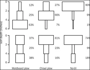 Figure: vertical distribution of weed seeds in a loamy sand soil and a silty loam soil